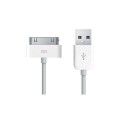 Ipod & Iphone Usb Sync Cable - White