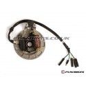 Pit Bike Magneto Stator Plate 110cc 125cc